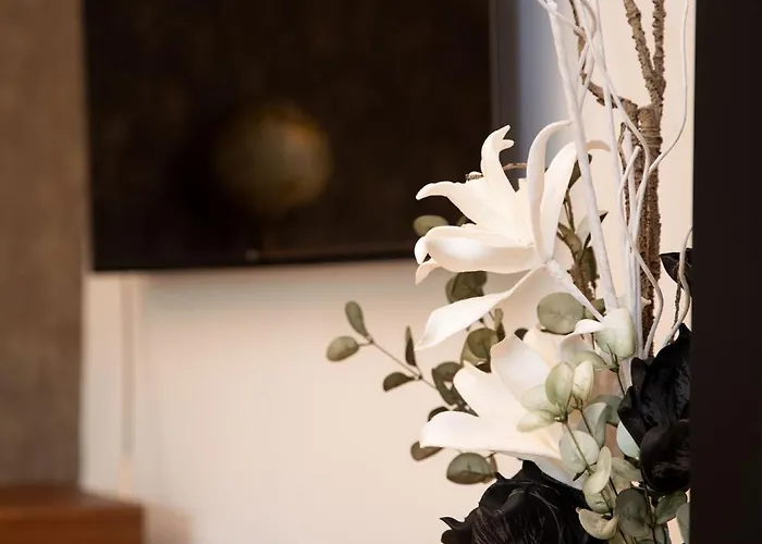 Διαμέρισμα Silvia, Zentrum Mondsee