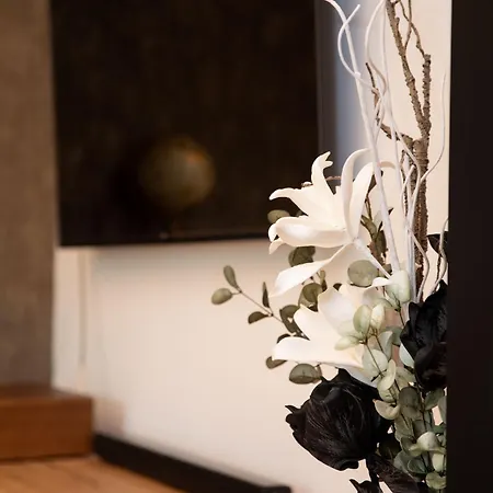 Apartment Silvia, Zentrum Mondsee